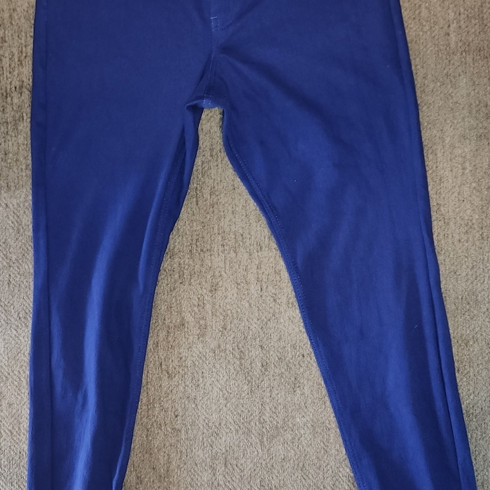 HUE Royal Blue Pullon Pants